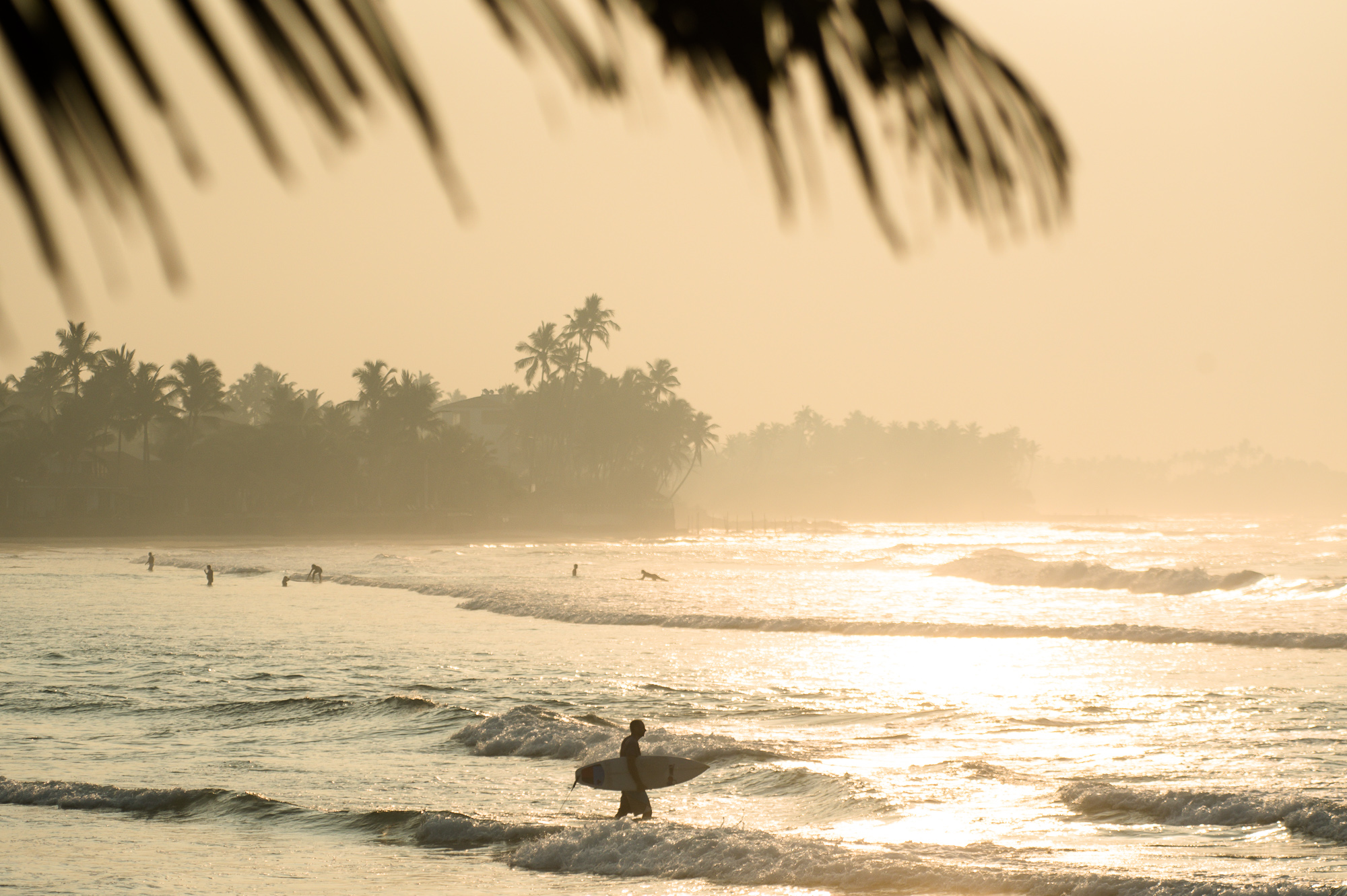 Утренний серфинг на Шри Ланке