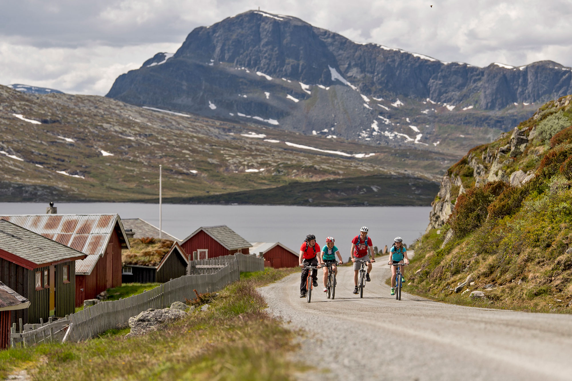 Последний день в Норвегии - велосипедная проглука по парку Jotunheimen